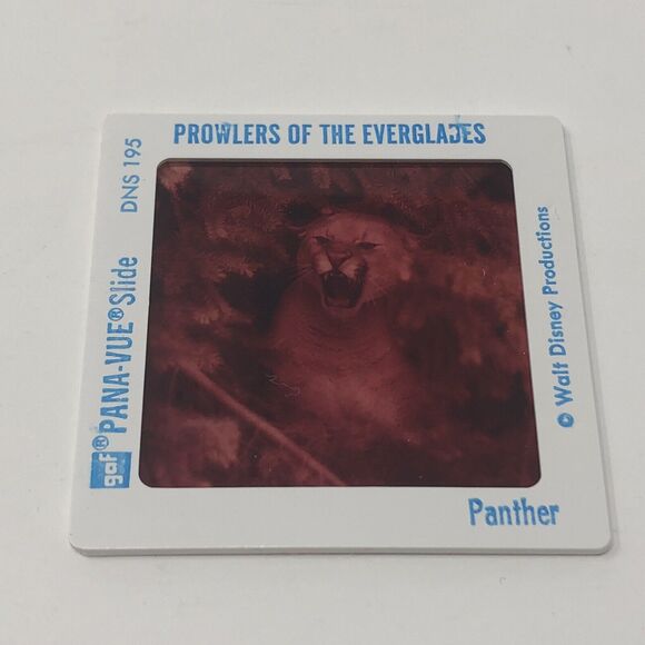 Vintage Walt Disney World Powers of the Everglades Epcot Center Pana-Vue Slides - Picture 4 of 7